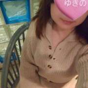 ヒメ日記 2026/02/24 20:33 投稿 ゆきの しろうさぎ