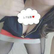 ヒメ日記 2026/02/25 15:43 投稿 ゆきの しろうさぎ