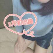 ヒメ日記 2026/03/02 18:33 投稿 ゆきの しろうさぎ