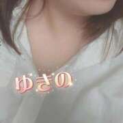 ヒメ日記 2026/03/03 18:33 投稿 ゆきの しろうさぎ