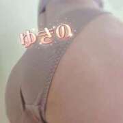 ヒメ日記 2026/03/16 19:03 投稿 ゆきの しろうさぎ