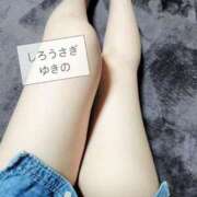 ヒメ日記 2026/04/13 16:03 投稿 ゆきの しろうさぎ