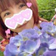 ヒメ日記 2025/06/16 19:01 投稿 マコ 【福岡デリヘル】20代・30代★博多で評判のお店はココです！