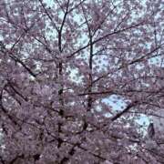 ヒメ日記 2025/04/07 22:57 投稿 いちご ママれもん錦糸町店