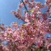 ヒメ日記 2026/03/01 17:27 投稿 いちご ママれもん錦糸町店