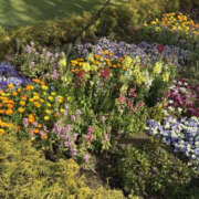 ヒメ日記 2025/04/09 17:17 投稿 向日葵(ひまわり) BAD COMPANY（バッドカンパニー）