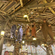 ヒメ日記 2025/11/12 23:16 投稿 向日葵(ひまわり) BAD COMPANY（バッドカンパニー）