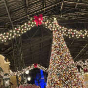 ヒメ日記 2025/11/19 16:50 投稿 向日葵(ひまわり) BAD COMPANY（バッドカンパニー）