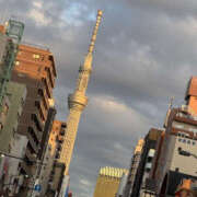 向日葵(ひまわり) こんばんは〜 BAD COMPANY（バッドカンパニー）