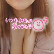 ヒメ日記 2025/04/07 12:20 投稿 折原さと 五十路マダム 浜松店(カサブランカグループ)