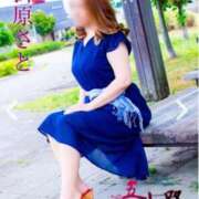 ヒメ日記 2025/08/16 19:32 投稿 折原さと 五十路マダム 浜松店(カサブランカグループ)