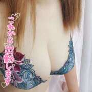 ヒメ日記 2025/08/20 07:02 投稿 折原さと 五十路マダム 浜松店(カサブランカグループ)