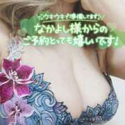 ヒメ日記 2025/11/06 19:02 投稿 折原さと 五十路マダム 浜松店(カサブランカグループ)