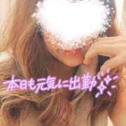 ヒメ日記 2026/01/24 09:30 投稿 折原さと 五十路マダム 浜松店(カサブランカグループ)