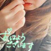 ヒメ日記 2026/02/11 07:04 投稿 折原さと 五十路マダム 浜松店(カサブランカグループ)