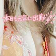 ヒメ日記 2026/03/14 07:02 投稿 折原さと 五十路マダム 浜松店(カサブランカグループ)