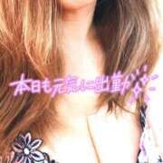 ヒメ日記 2026/04/14 07:02 投稿 折原さと 五十路マダム 浜松店(カサブランカグループ)