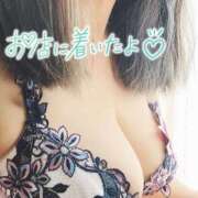 ヒメ日記 2026/07/16 09:30 投稿 折原さと 五十路マダム 浜松店(カサブランカグループ)