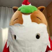 ヒメ日記 2024/12/16 20:33 投稿 みる スーパークリスタル