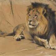 ヒメ日記 2024/12/27 12:23 投稿 みる スーパークリスタル