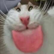 ヒメ日記 2025/03/03 18:33 投稿 みる スーパークリスタル