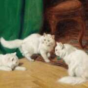 ヒメ日記 2025/03/07 18:43 投稿 みる スーパークリスタル