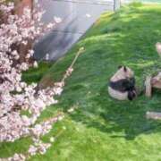 ヒメ日記 2025/04/25 00:23 投稿 みる スーパークリスタル