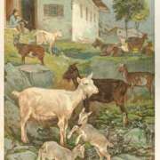 ヒメ日記 2025/05/12 21:33 投稿 みる スーパークリスタル