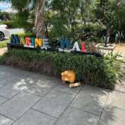 ヒメ日記 2025/10/17 09:23 投稿 みる スーパークリスタル