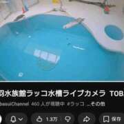 みる ごーるでんすぱーく スーパークリスタル