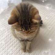 ヒメ日記 2025/09/28 11:27 投稿 いがらし 大和人妻城