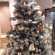 ヒメ日記 2025/12/24 20:09 投稿 いがらし 大和人妻城