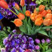 ヒメ日記 2026/01/08 20:04 投稿 いがらし 大和人妻城