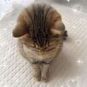 ヒメ日記 2026/01/09 21:17 投稿 いがらし 大和人妻城