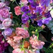 ヒメ日記 2026/03/25 12:52 投稿 いがらし 大和人妻城