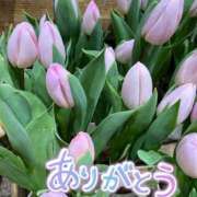 ヒメ日記 2026/03/27 12:44 投稿 いがらし 大和人妻城