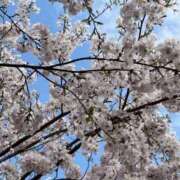 ヒメ日記 2026/03/30 07:37 投稿 いがらし 大和人妻城