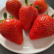 ヒメ日記 2026/04/06 07:51 投稿 いがらし 大和人妻城