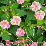 ヒメ日記 2026/07/21 20:32 投稿 いがらし 大和人妻城