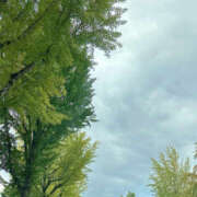 ヒメ日記 2025/10/20 21:03 投稿 秀美 愛の人妻 小山店