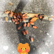 ヒメ日記 2025/11/28 13:40 投稿 秀美 愛の人妻 小山店