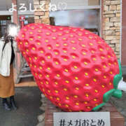 ヒメ日記 2026/01/12 12:30 投稿 秀美 愛の人妻 小山店