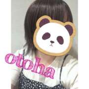 おとは おとは（エコ京橋店） スピードエコ京橋店