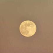 ヒメ日記 2024/12/16 06:43 投稿 千春 桃李（とうり）