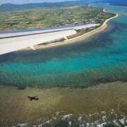 ヒメ日記 2024/12/18 06:54 投稿 千春 桃李（とうり）