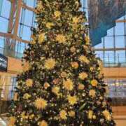 ヒメ日記 2024/12/23 06:44 投稿 千春 桃李（とうり）