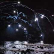 ヒメ日記 2024/12/27 06:54 投稿 千春 桃李（とうり）