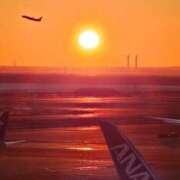 ヒメ日記 2025/01/06 06:38 投稿 千春 桃李（とうり）