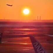 ヒメ日記 2025/01/06 06:54 投稿 千春 桃李（とうり）