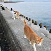 ヒメ日記 2025/01/14 06:54 投稿 千春 桃李（とうり）